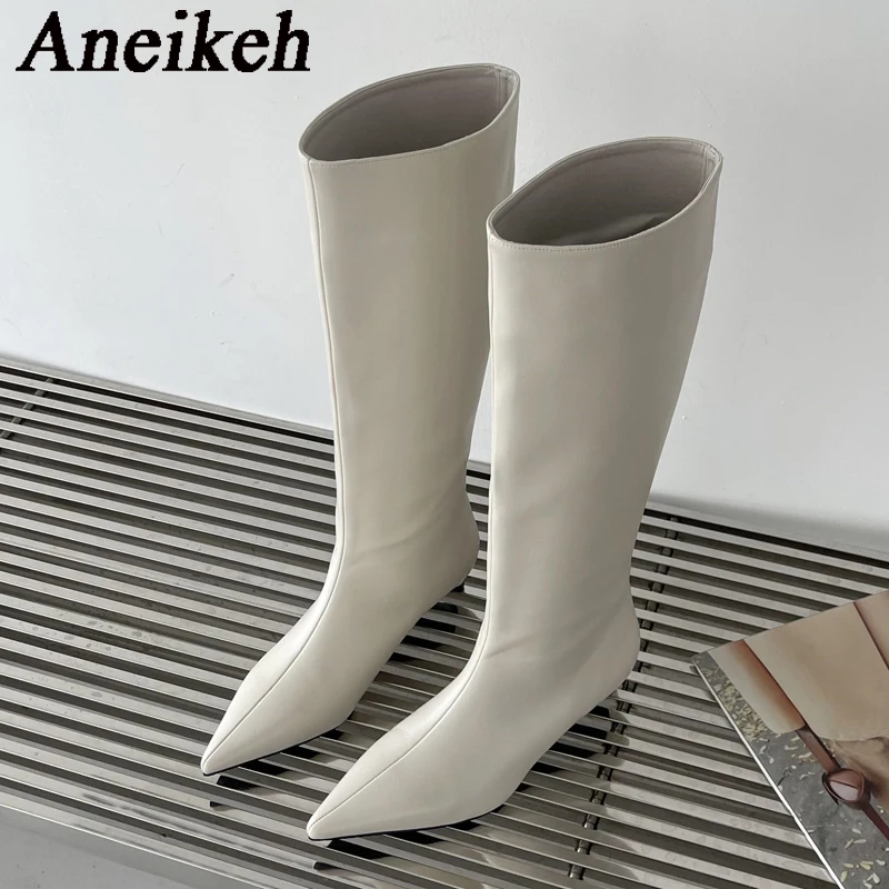 Aneikeh 2026 موضة مثيرة وأشار  - مراجعة Knee High Boots Women وسعره